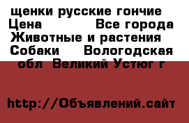 щенки русские гончие › Цена ­ 4 000 - Все города Животные и растения » Собаки   . Вологодская обл.,Великий Устюг г.